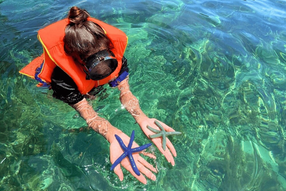 Snorkeling at Ky Co Beach offers a glimpse into the vibrant underwater world (Source: Khánh Tour Quy Nhơn)